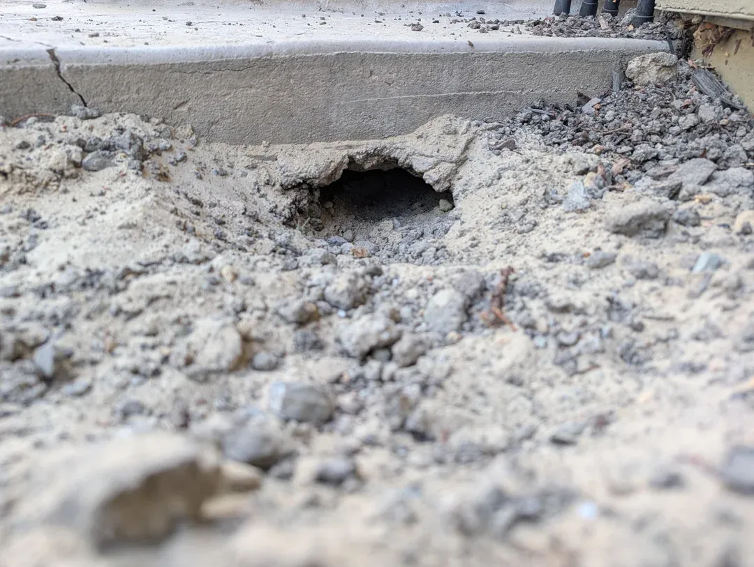 Rat burrow opening found under a concrete slab at a Long Beach property